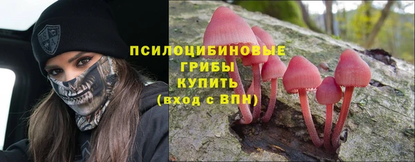 винт Семикаракорск