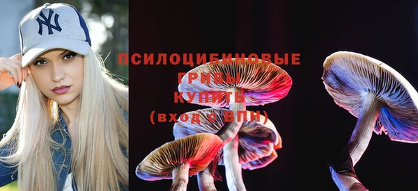 гидропоника Алзамай